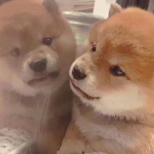 高行美大图全集03
